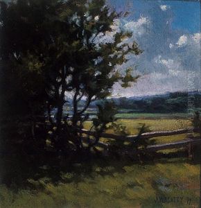 Country Landscape With Fence