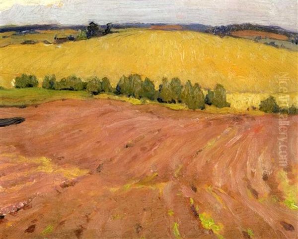 Ploughed Field - view 1