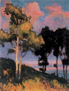 Birches At Sunset Birches At Sunset