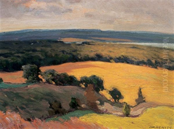 A Glimpse Of Rice Lake - view 1