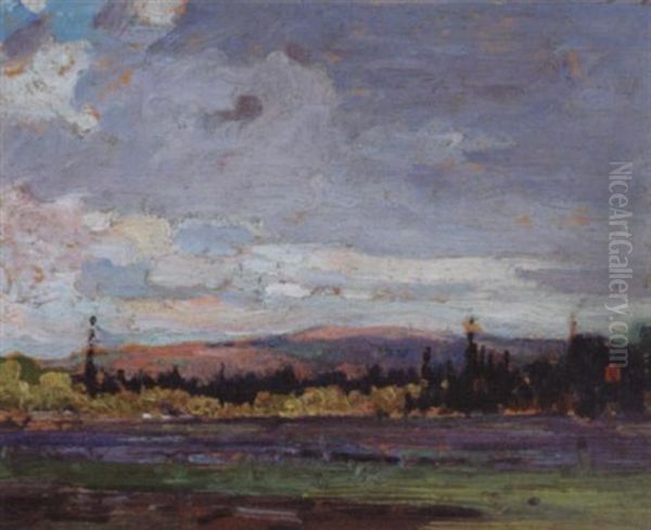 Shoreline - Algonquin Park - view 1