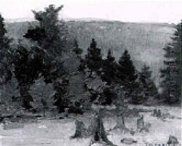 Landscape With Stumps - view 1