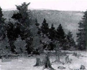 Landscape With Stumps