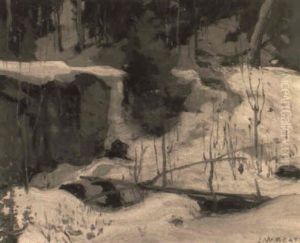 Early Snow, Algonquin Park