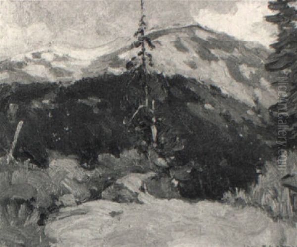 Old Toll Road, Yellowhead Pass, B.c. - view 1