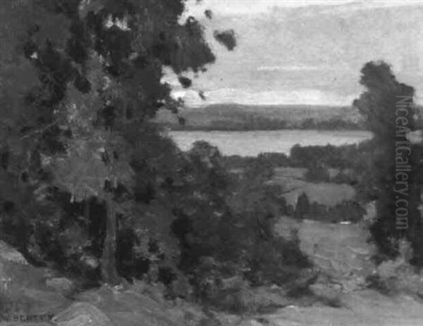 Pickerel Lake, Haliburton - view 1