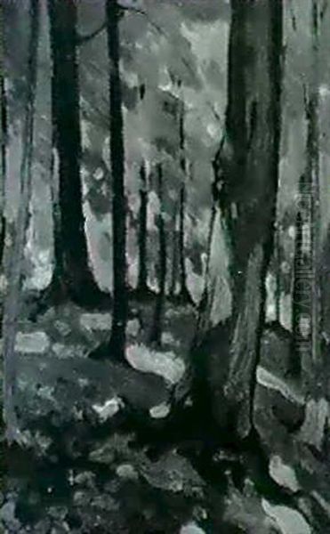 Forest Interior - view 1