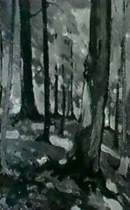 Forest Interior Forest Interior