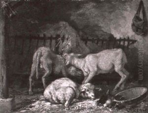 Schafe Im Stall by Vivant Beauce