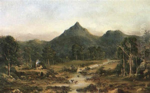 Cummings Head, River Mersey, Tasmania - view 1
