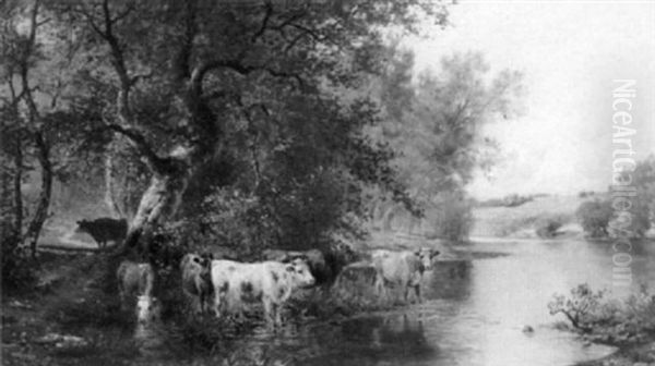 Cows Watering By A Stream - view 1