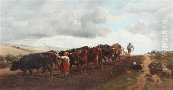 Autumn Ploughing - view 1