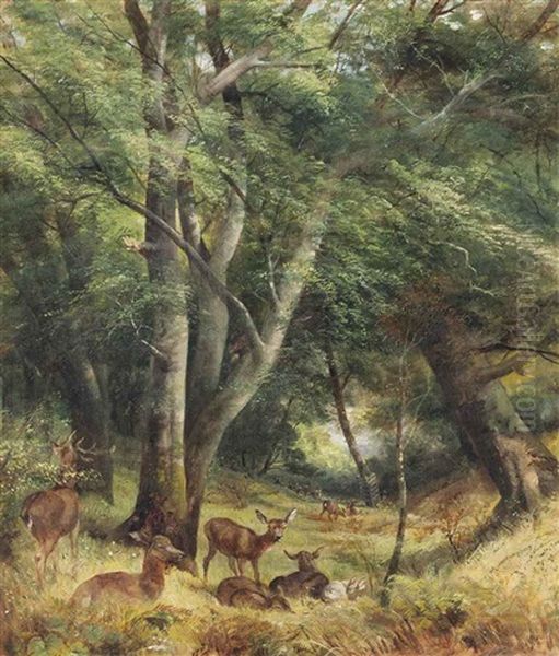 A Glade In Windsor Park - view 1