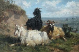 Study Of Goats On Cliffs By The Seashore; Study Of Sheep (pair) by Richard Beavis