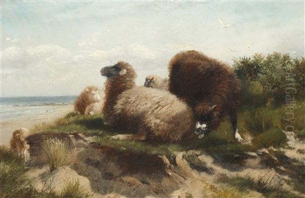 Sheep On The French Coast - view 1