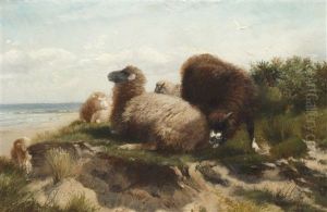Sheep On The French Coast by Richard Beavis