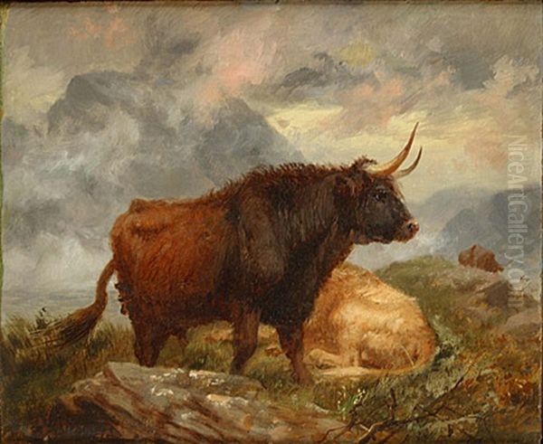 Stier In Een Berglandschap - view 1
