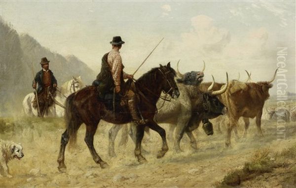 Viehtrieb Mit Stieren In Katalonien - view 1