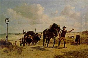 Bay Of Cancale, Brittany by Richard Beavis
