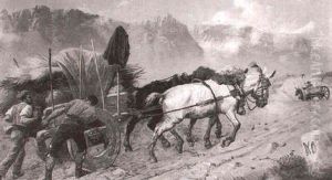 Pulling The Load by Richard Beavis