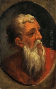 Testa Di Profeta by Domenico Beccafumi