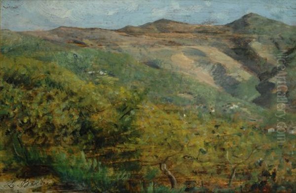 Paesaggio Assolato - view 1