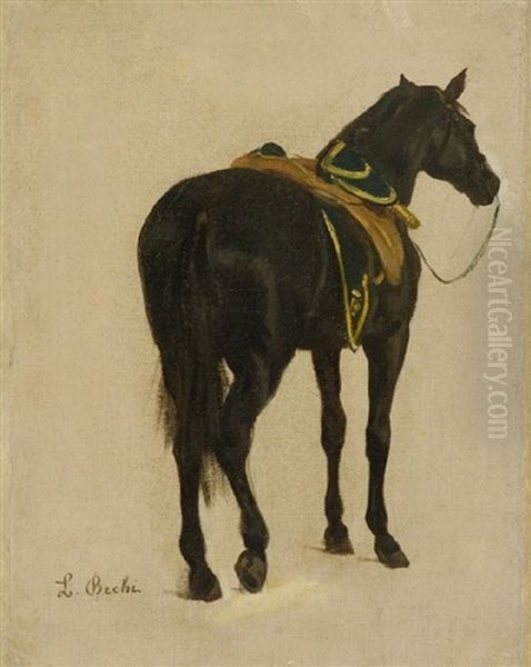 Cavallo - view 1