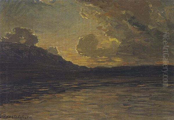 Sonnenuntergangsstimmung Am Seeufer - view 1