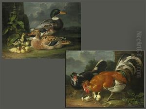 Wildentenpaar Mit Kuken In Landschaft Sowie Huhnerpaar Ebenfalls (+ Kuken Vor Einem Gemauer Mit Blattwerk; Pair)