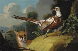 An Ornamental Pheasant And A Fox by Jacob Samuel Beck