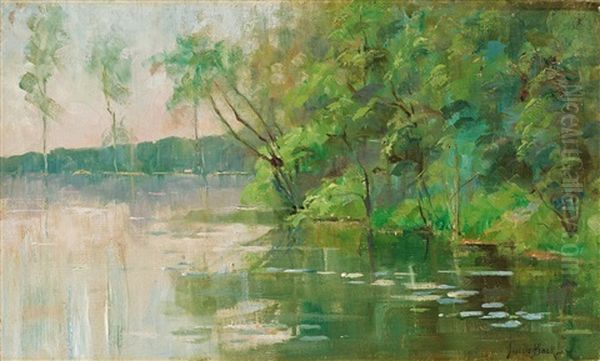 Nenuphars (water Lilies) - view 1