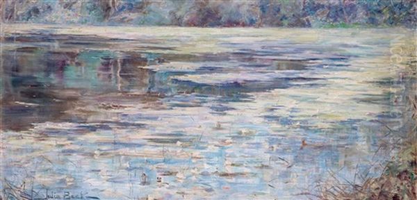 L'etang Saint-cucufa, Pres Vaucresson - view 1