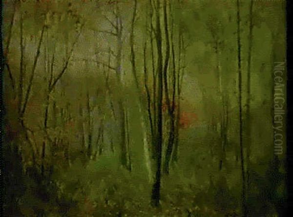 Soleil De Mars - view 1