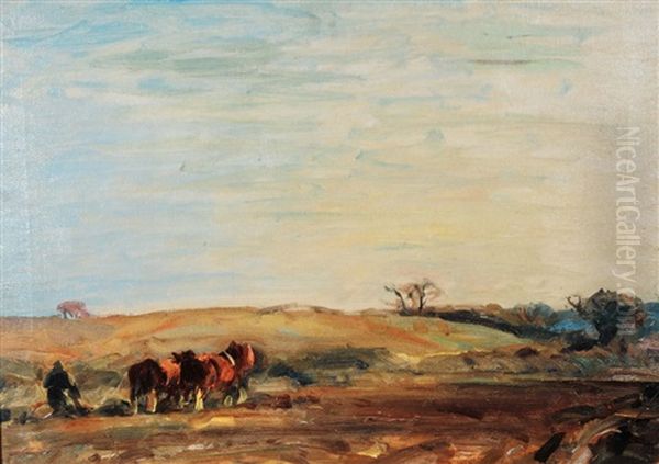 A Man Ploughing With Team - view 1