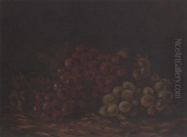 Still Life With Purple And White Grapes - view 1