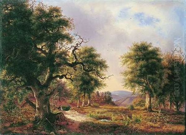 Harzlandschaft Im Selketal - view 1