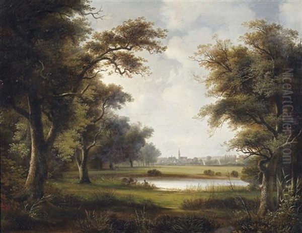 Rosslau Bei Dessau Vom Wallersee Aus Gesehen - view 1