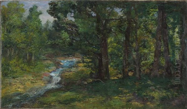 Woodland Stream - view 1