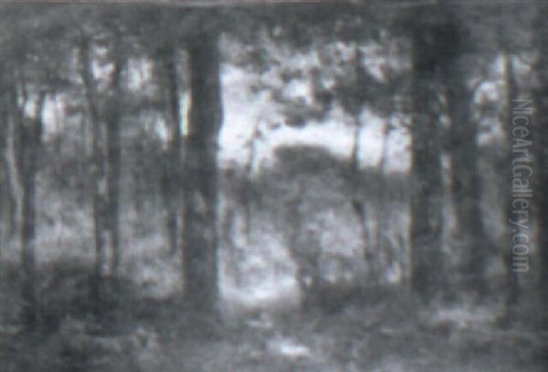 Forest Path - view 1