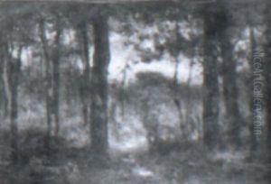 Forest Path