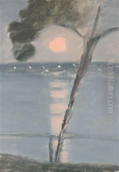 Evening Scene - view 1