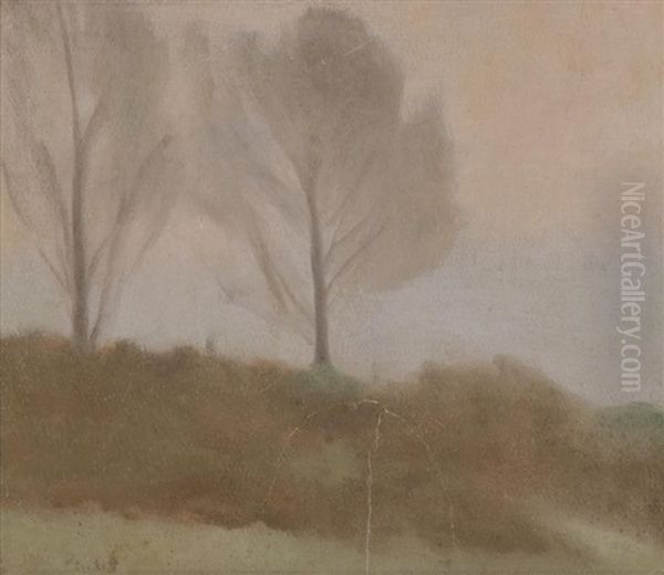 The Two Trees, Near Beaumaris - view 1