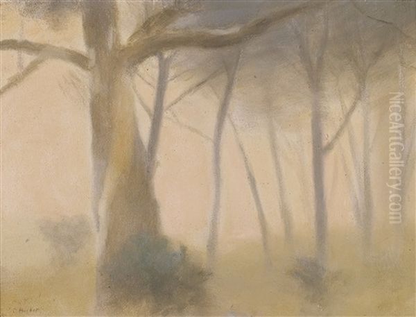 Towards Evening - view 1