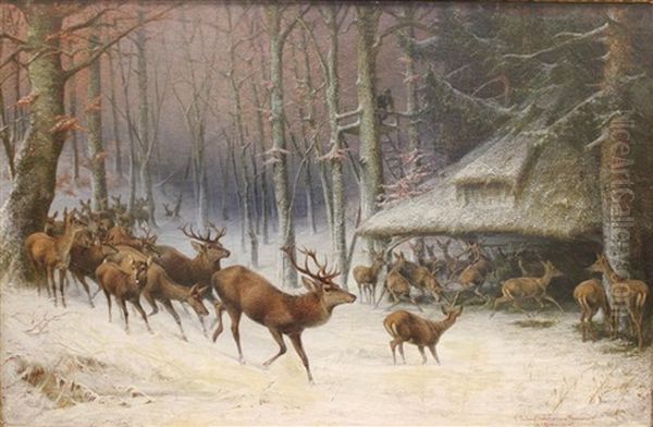 Elk Herd - view 1