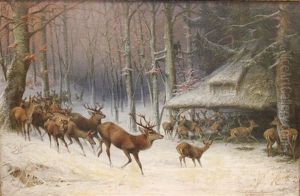 Elk Herd