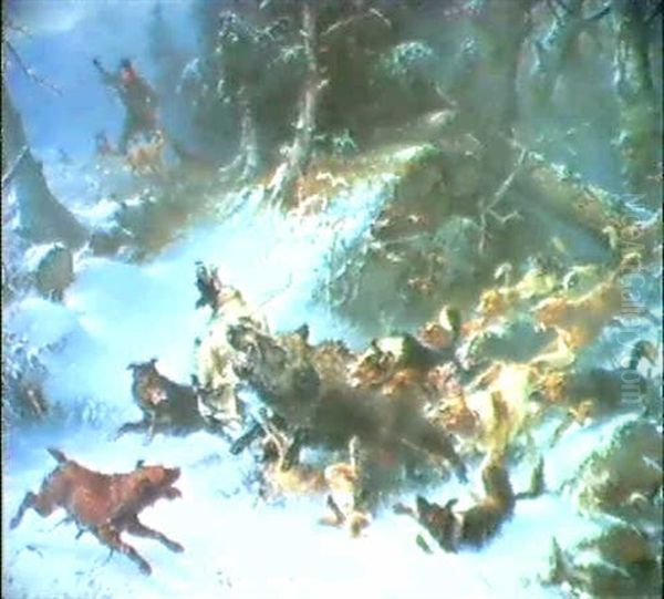 Schwarzwildjagd - view 1