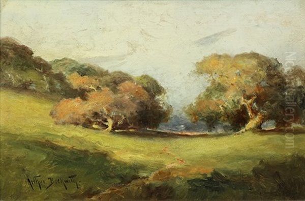 Sunny Meadows - view 1