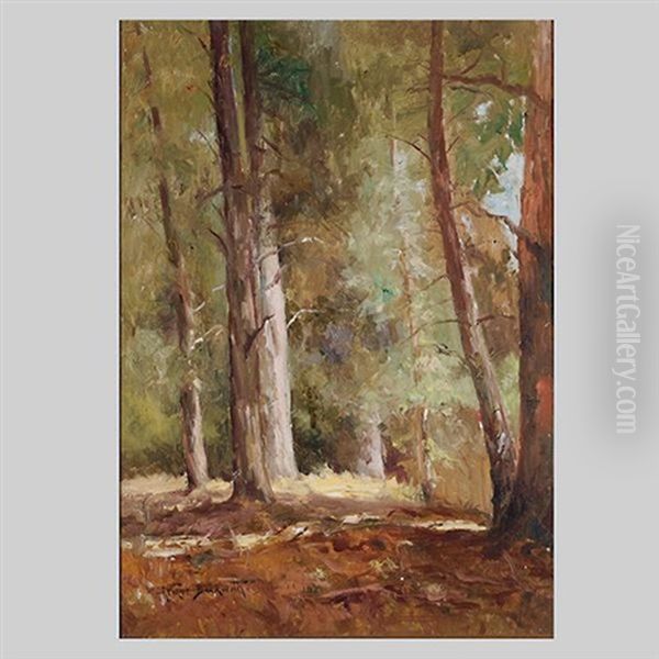 Redwood Grove - view 1