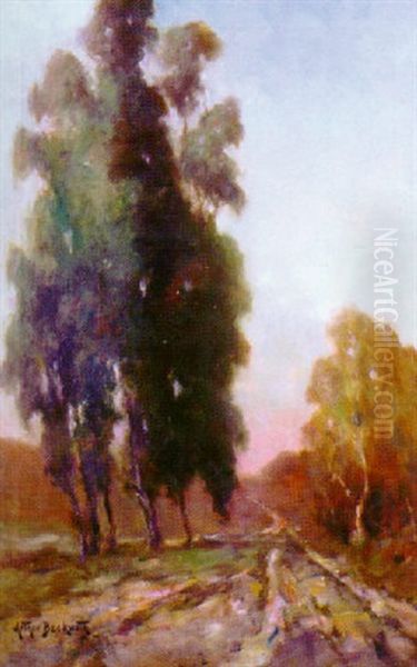 Eucalyptus Grove - view 1