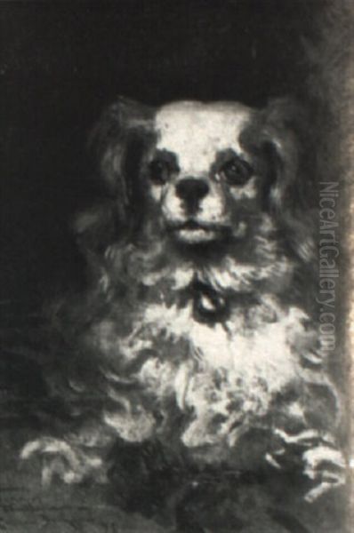 Duke Of Marlborough: Portrait Of A Puppy - view 1